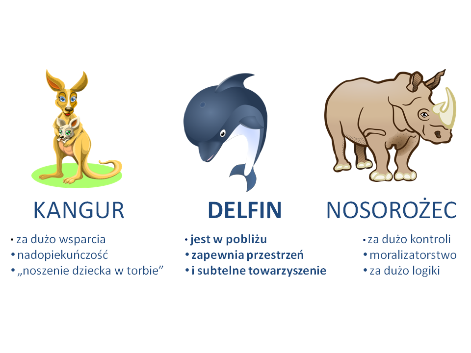 kangur-delfin-nosorozec-model-maudsley